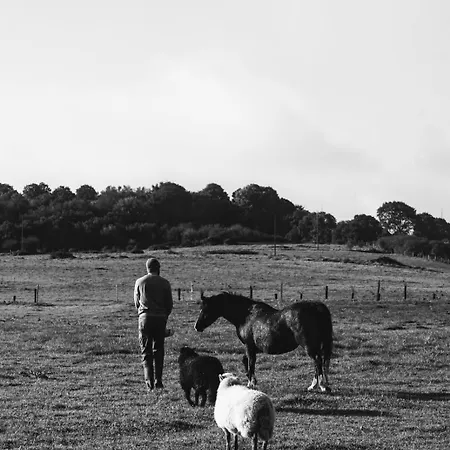 Terra-tipike, Tipi A La Ferme Entre Terre Et 豪华帐篷 Trébry